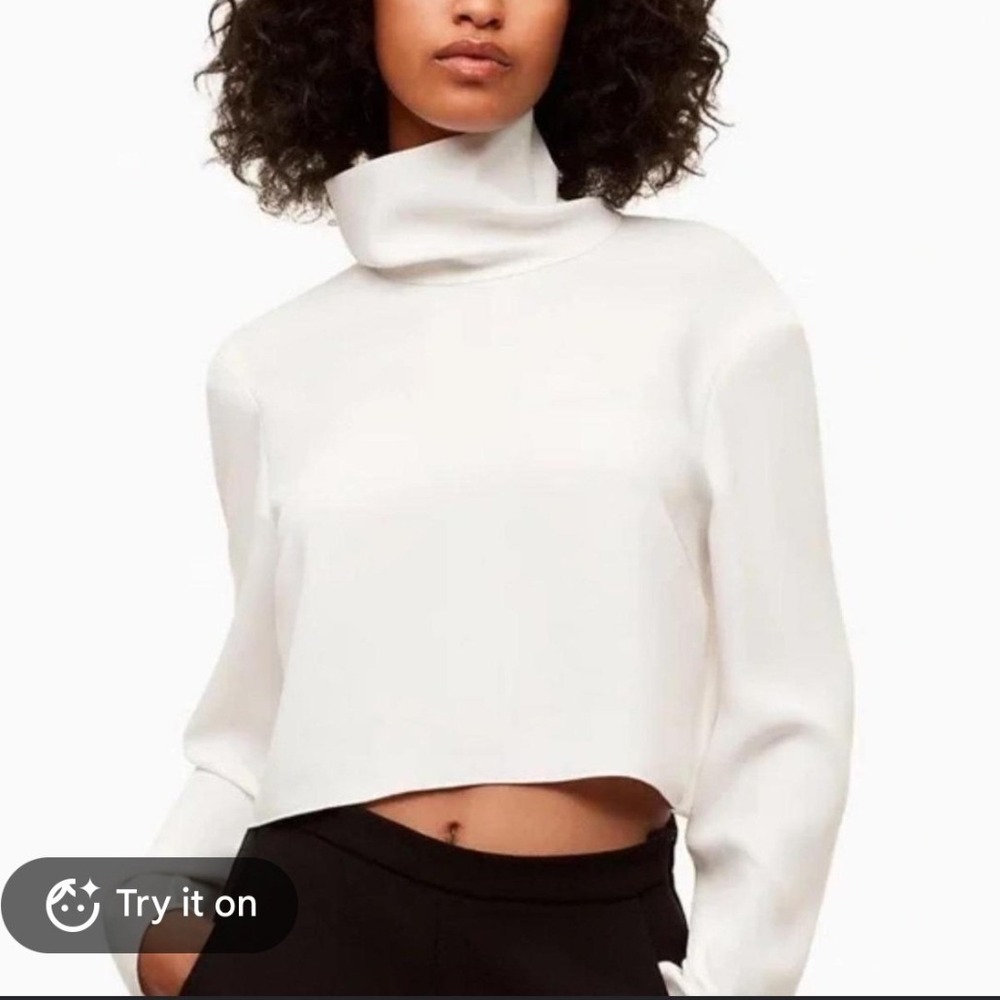 Babaton Aritzia Rembrant Blouse in Escape XS Funnel Neck Crop NEW